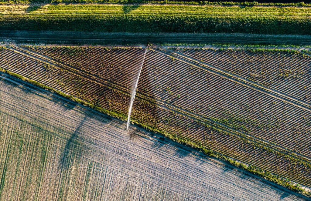 Irrigated cropland, the first quality class under the Punjab ceiling rules