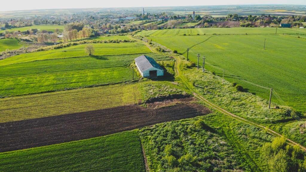 Village habitation beside farmland, the setting for lal lakir in Punjab